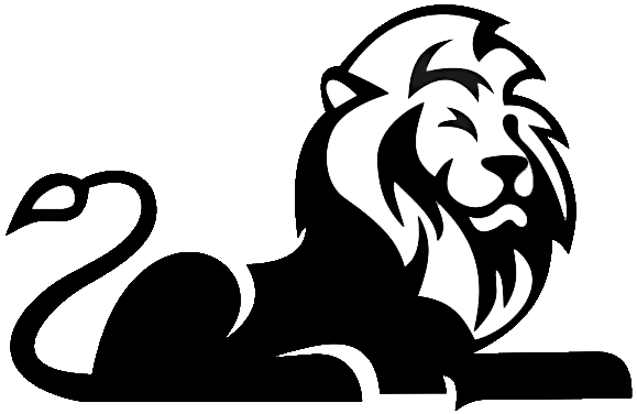 KING -LTD – since 1994